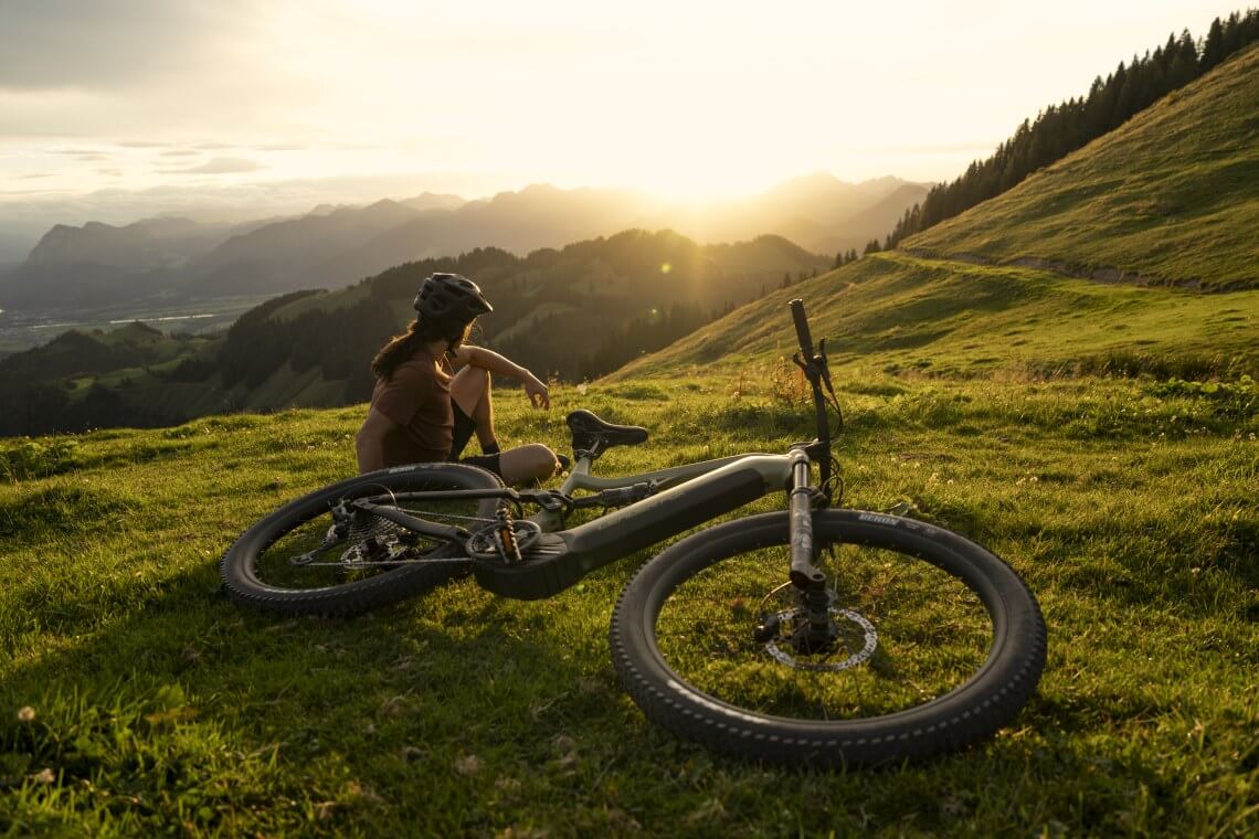 ARGUS – 29" / rám 19,5" (L)